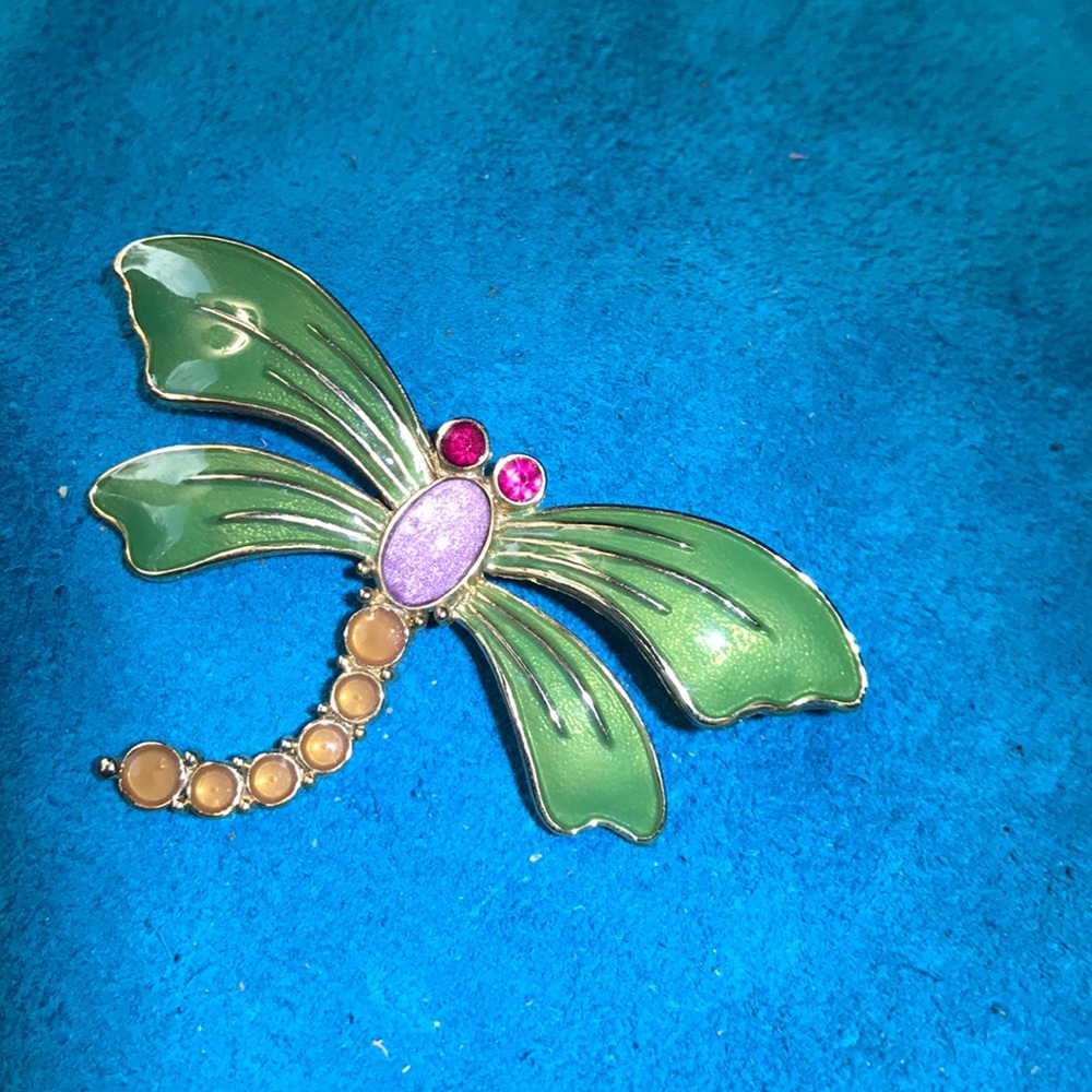Dragonfly pin